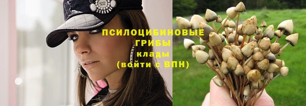 эйфоретик Алексин