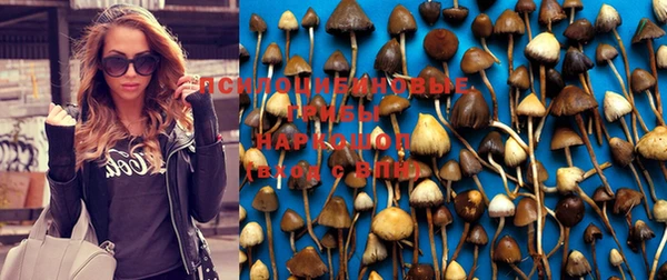 не бодяженный Алзамай
