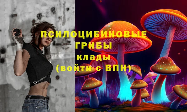 не бодяженный Алзамай