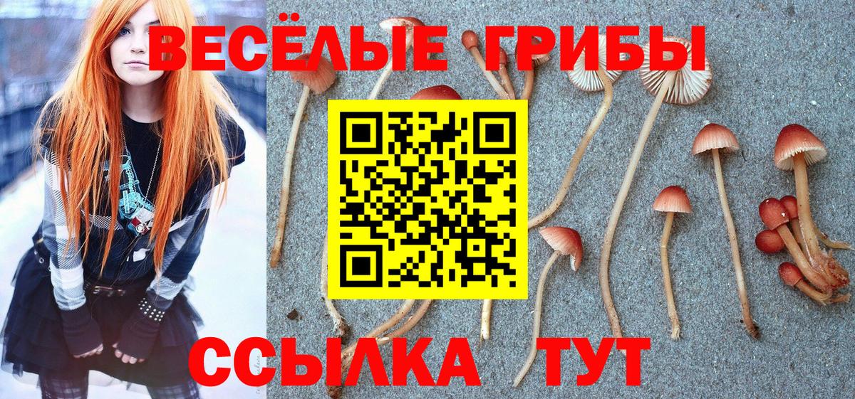 Галлюциногенные грибы мухоморы  Галлюциногенные грибы Psilocybine cubensis  хочу   Вход с VPN  Апшеронск 